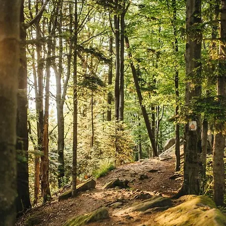 Shanti House Semesterbostad